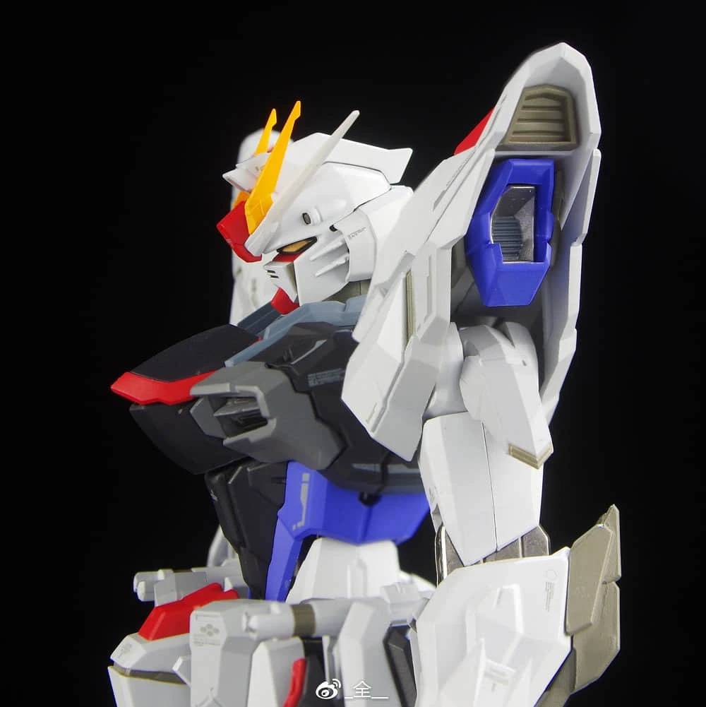 Wuming WMNL NoName 1/100 MG ZGMF-X10A ZGMFX10A Freedom Gundam Version 2.0 - Image 5
