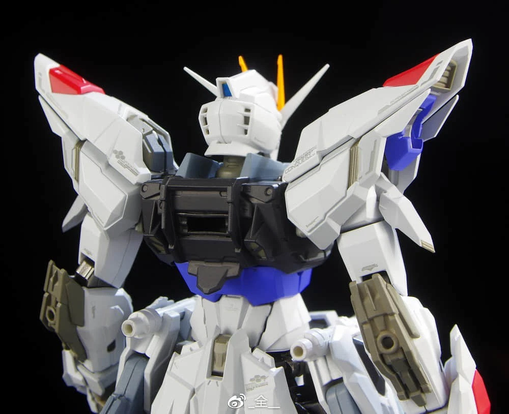 Wuming WMNL NoName 1/100 MG ZGMF-X10A ZGMFX10A Freedom Gundam Version 2.0 - Image 6
